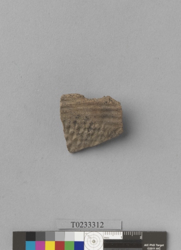 遺物：幾何印紋夾細砂陶腹片