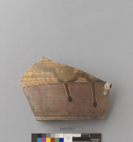 遺物：褐釉細胎硬陶罐腹片