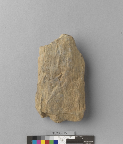 遺物：斧鋤形器