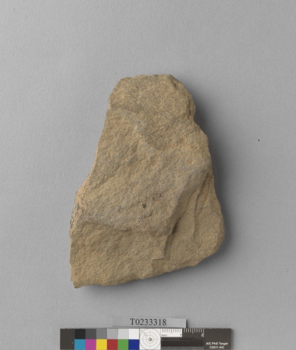 遺物：打製石斧