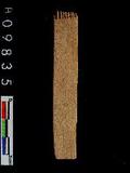 ~²(²G338.008)