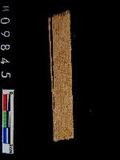 ~²(²G338.019)