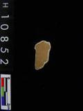 ~²(²G454.017)