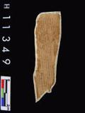 ~²(²G485.091)