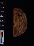 ~²(²G489.002)