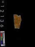 ~²(²G519.041)