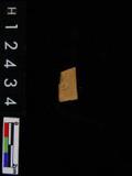 ~²(²G542.006)