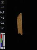 ~²(²G559.156)