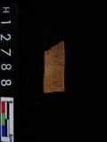 ~²(²G561.028)