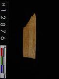 ~²(²G565.026)