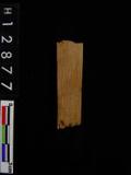 ~²(²G565.027)