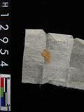 ~²(²G591.041)