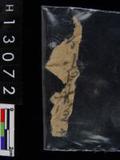 (²GN116)