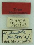PW:Dendrolimus ampla kusari Matsumura' 1932