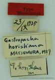 {βզX:Gastropacha horishana Matsumura 1927