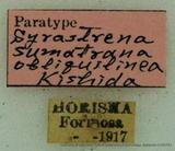 {βզX:Syrastrena sumatrana oliquilinea Kishida' 1985