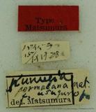 PW:Dendrolimus formosana usuguronis Matsumura' 1927