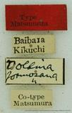 PW:Dolbina formosana Matsumura 1927