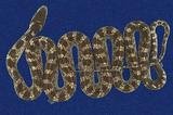 紅斑蛇 （TMRS-0238）