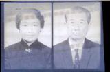 副系列名：生平及相關史料照片案卷名：親族照片件名：葉榮鐘夫婦肖像底片。