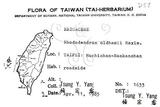 中文名：金毛杜鵑英文名：Oldham s Thododendron學名：Rhododendron oldhamii Maxim