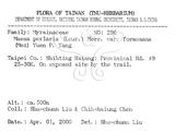 中文名：台灣山桂花英文名：Taiwan Maesa學名：Maesa perlaria (Lour.) Merr. var. formosana (Mez) Yuen P. Yang