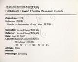 中文名：茜草樹英文名：Cochinchina Randia學名：Randia cochinchinensis (Lour.) Merr