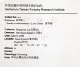 中文名：茜草樹英文名：Cochinchina Randia學名：Randia cochinchinensis (Lour.) Merr