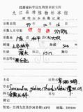 中文名：草珊瑚中文別名：紅果金粟蘭英文名：Glabrous Herbcoral學名：Sarcandra glabra (Thunb.) Nakai