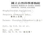 中文名：山香圓英文名：Formosam turpinia學名：Turpinia formosana Nakai