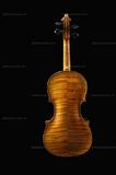 小提琴Stainer_1656b_背...