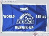 2005年第四十五屆小馬聯盟野馬級世界少棒錦標賽季軍錦旗 : 2005 WORLD BRONCO SERIES RUNNER-UP