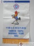 1993 إx_βyNAX : إx_βyN CHINESE-TAIPEI BASEBALL TEAM 1993