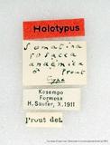 {βզX:Somatina  rosacea anaemica Prout' 1914