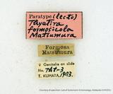 {βզX:Thyatira batis formosicola Matsumura' 1933