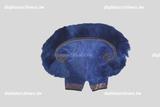 藍鴨尾巾(品)（典藏號hat_04_0229_155）