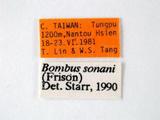 學名:Bombus (Pyrobombus) sonani (Frison, 1934)拉丁同物異名:Bombus sonani (Frison, 1934)