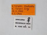 學名:Aphelopus orientalis Olmi, 1984