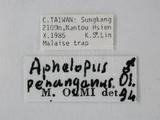 學名:Aphelopus penanganus Olmi, 1984