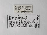 學名:Dryinus pyrillae (Kieffer, 1911)拉丁同物異名:Lestodryinus pyrillae Kieffer , 1911訂正前拉丁舊學名:Lestodryinus pyrillae Kieffer , 1911訂正後拉丁新學名:Dryinus pyrillae (Kieffer, 1911)