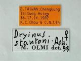 學名:Dryinus stantoni Ashmead, 1904