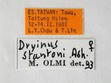 學名:Dryinus stantoni Ashmead, 1904