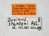 學名:Dryinus stantoni Ashmead, 1904