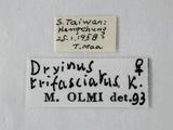 學名:Dryinus trifasciatus Kieffer, 1906