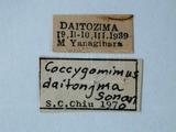 學名:Pimpla daitojimana Sonan, 1940訂正前拉丁舊學名:Coccygomimus daitojimanus (Sonan, 1940)訂正後拉丁新學名:Pimpla daitojimana Sonan, 1940