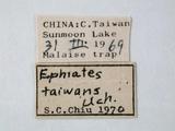 學名:Apechthis taiwana Uchida, 1928訂正前拉丁舊學名:Ephialtes taiwanus (Uchida, 1928)訂正後拉丁新學名:Apechthis taiwana Uchida, 1928