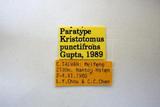 學名:Kristotomus punctifrons Gupta, 1990