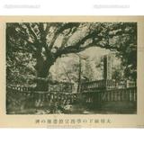 日文標題:大樟樹下の學務官僚遭難の碑