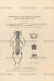 gW:Descriptions of new Species of Longicorn Beetles from Formosa (III)