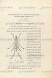 gW:Description of new species of Longicorn Beetles from Formosa (V)